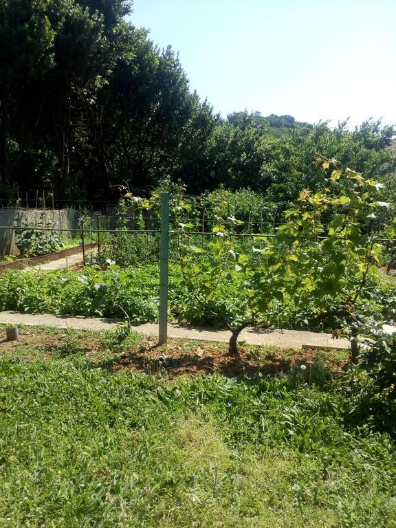 Jedro Apartmani 赫尔采格诺维 外观 照片